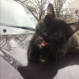 Meet your Posher, Devin